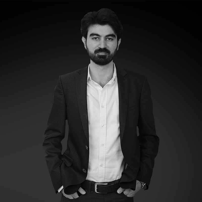 lawyer arif hikmet safak